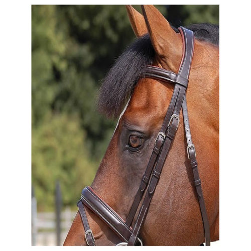 Dyon Collection Bridle with Grackle Noseband Dyon Bridles UK