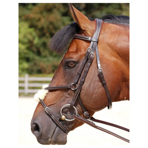 Dyon Collection Bridle with Grackle Noseband Dyon Bridles UK