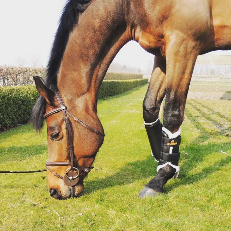 Kentucky Horsewear Leather Turnout Boots UK Just Equine