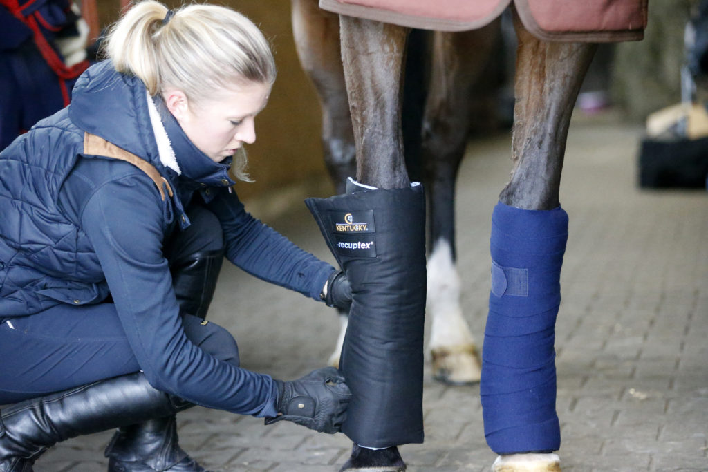 Kentucky Horsewear Magnetic Stable Bandage Pads