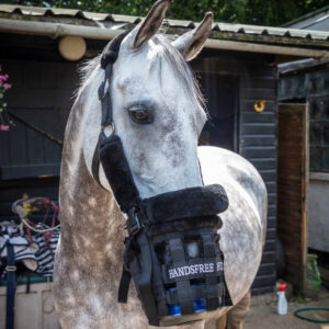 Handsfree Grazing Muzzle and Head Collar