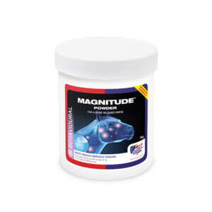 Equine America Magnitude Powder 1kg