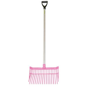 Future Fork