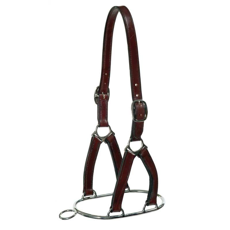 Stallion Ring Horse Controller Headcollar