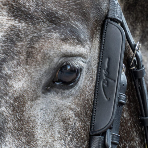 Dy'on Leather Horse Blinkers Black