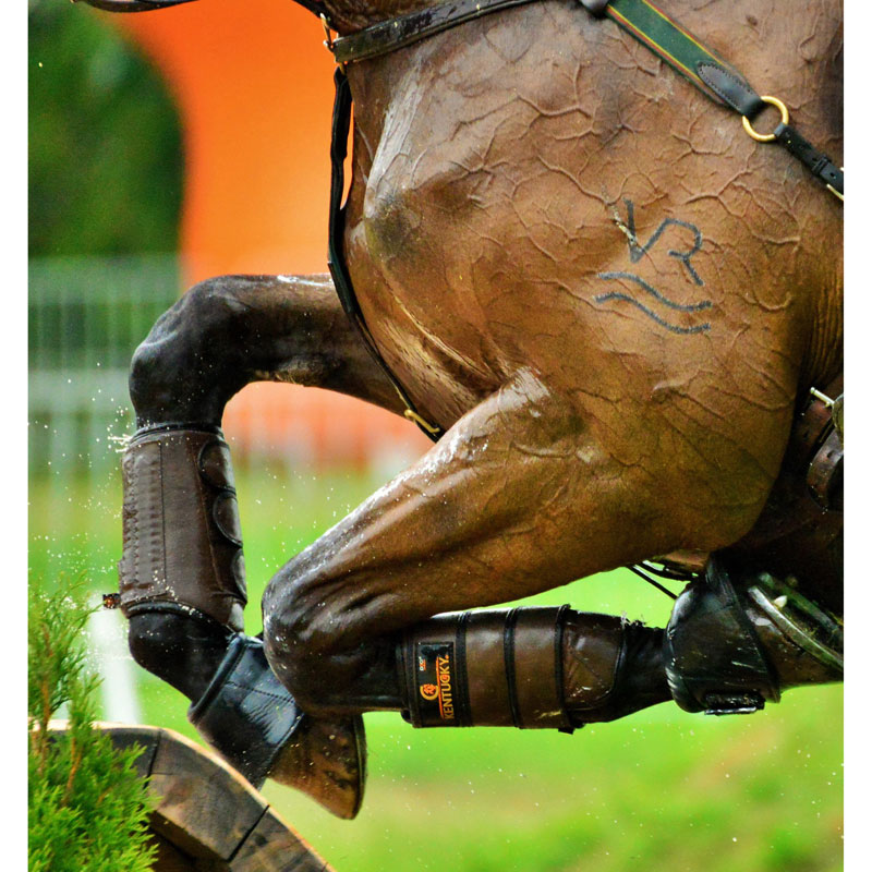 Horse Health UK Horse Health Products & Nutrition Just Equine