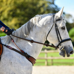 Freejump Collar Training Aid