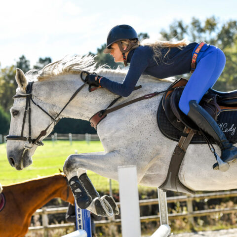 Freejump Collar Training Aid Jumping