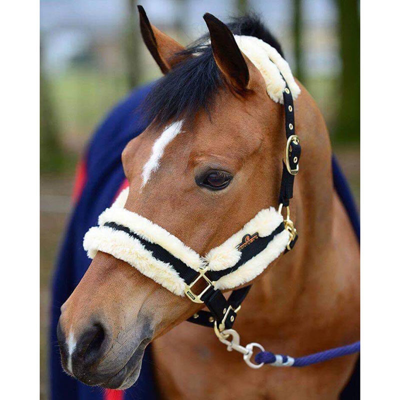 Kentucky Nylon Sheepskin Headcollar