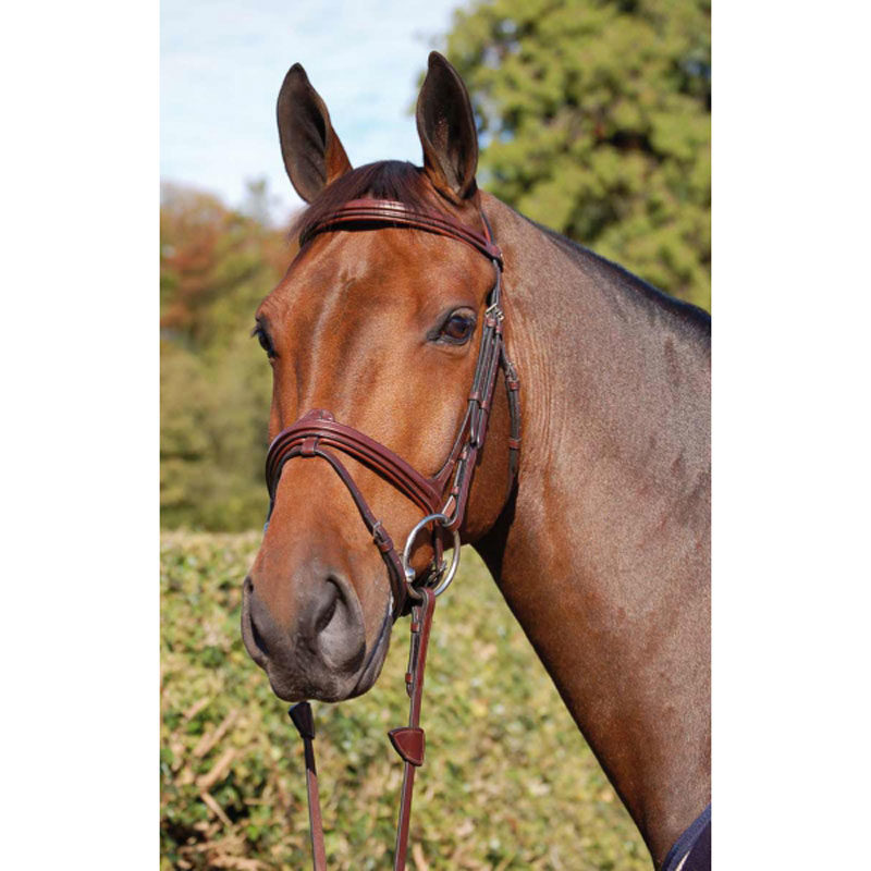Dy'on New English Collection Bridle with Flash Noseband