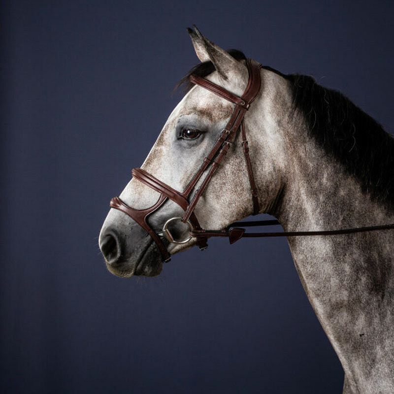 Dyon Double Noseband Bridle New English Collection Brown 2 Dy'on New English Collection Double Noseband Bridle