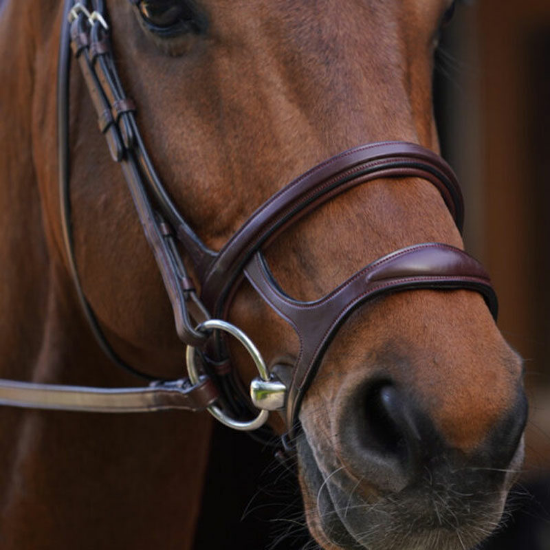 Dy'on New English Collection Double Noseband Brown 1