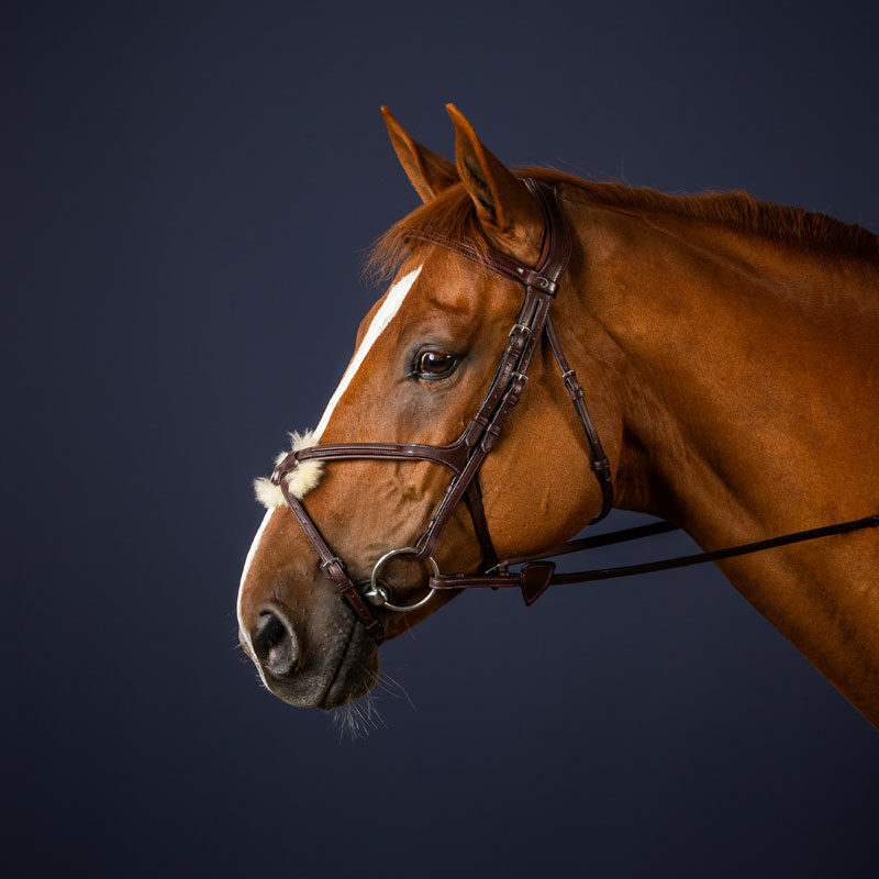 Dy'on New English Collection Grackle Bridle Brown