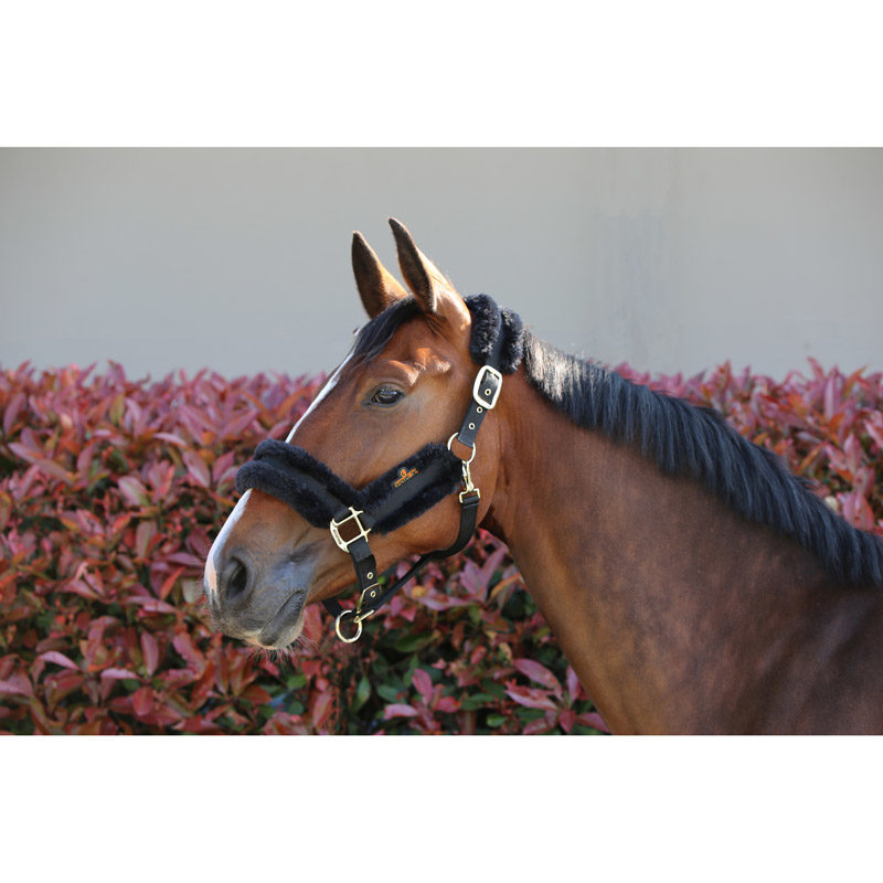 Kentucky Horsewear Nylon Sheepskin Headcollar Black 1 Kentucky Nylon Sheepskin Headcollar