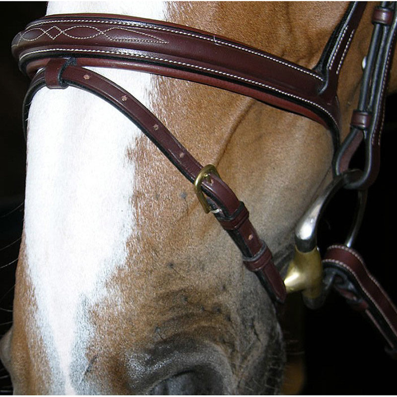 Dyon Collection Flash Nose Dy'on Collection Flash Noseband Bridle