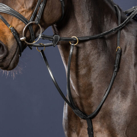Dy'on Collection Running Martingale