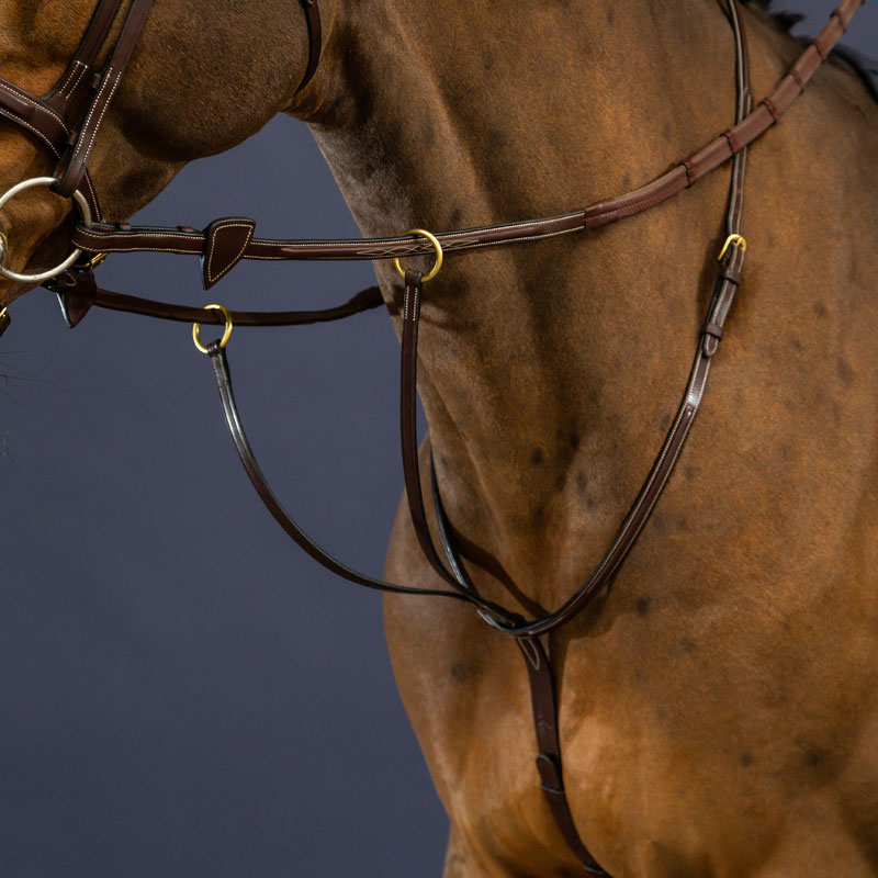 Dy'on Collection Running Martingale 1 Dy'on Collection Running Martingale