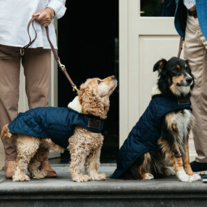 Kentucky Dogwear Dog Coats - Navy