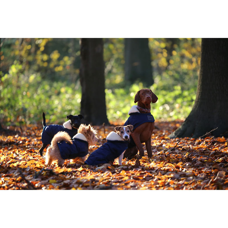Cky Dogwear Dog Coats Navy Uk Just Equine Cky Dogwear Dog Coats Navy Uk, How Warm Is A Dog S Coats Uk