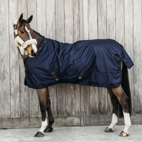Lightweight Turnout Rug Pro