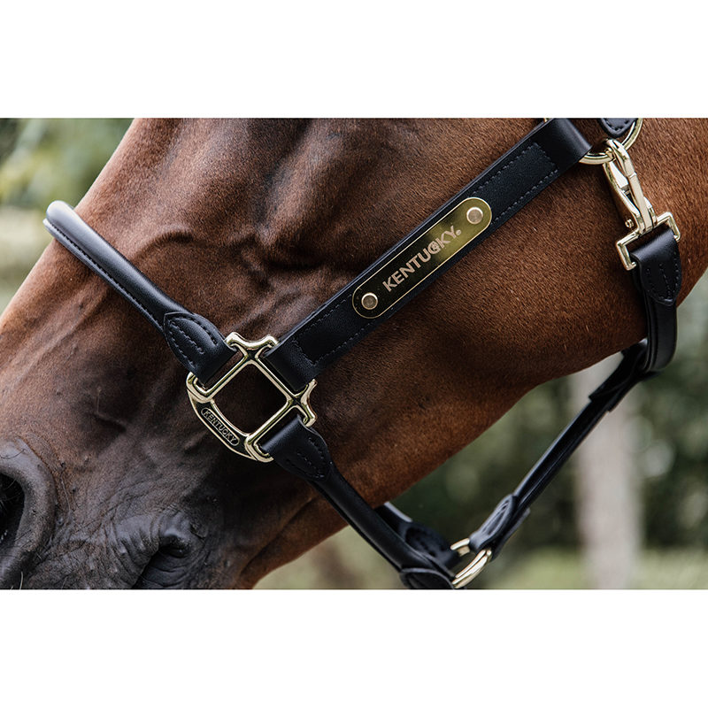 54351cd0199800d22a281f852bfc11ac564dc6c820659bb5dda8bf2826fe431e Kentucky Horsewear Anatomic Leather Head Collar