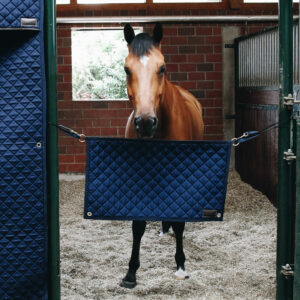 Kentucky Horsewear Stable Guard Navy