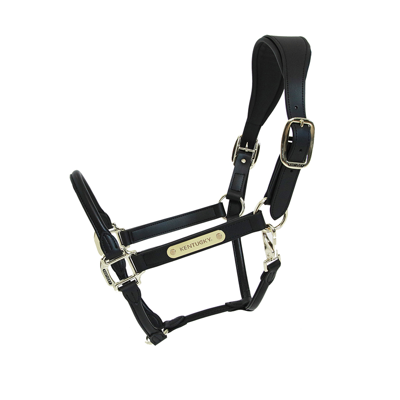 Kentucky Horsewear Anatomic Leather Head Collar UK Just Equine