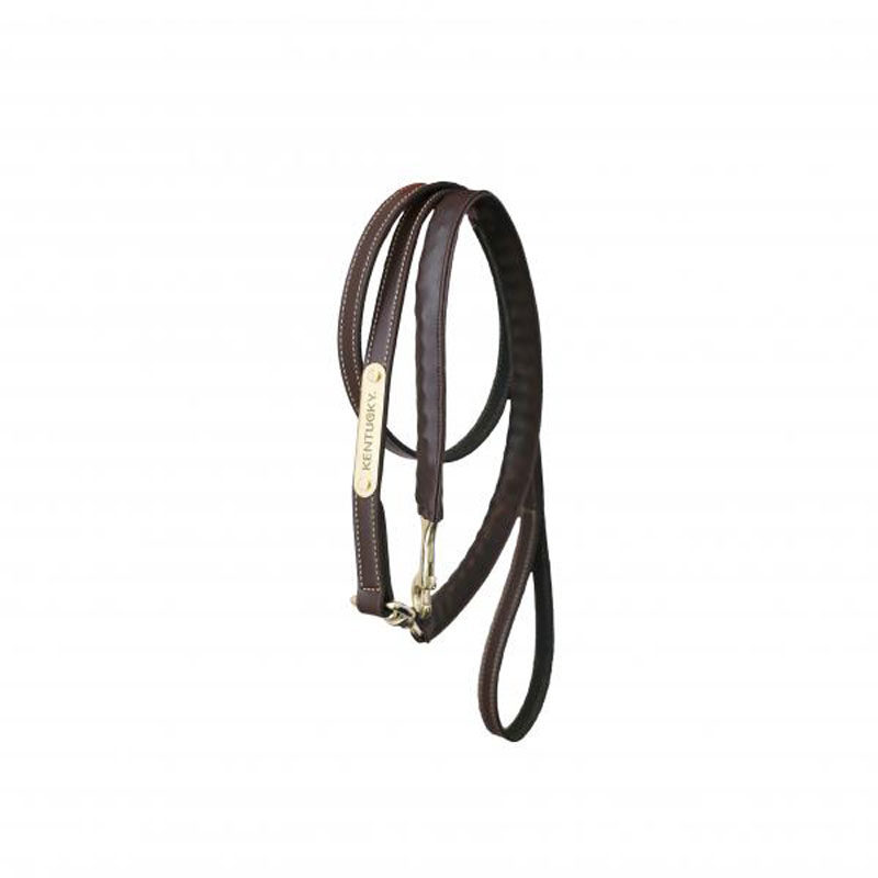 Kentucky Horsewear Leather Covered Lead Chain