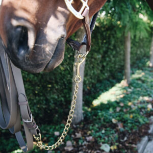 42531-41 Kentucky Horsewear Stallion Chain