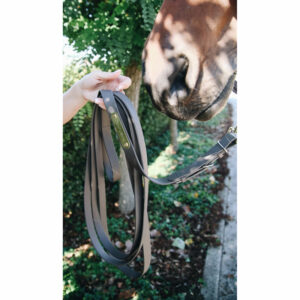 Kentucky Horsewear Stallion Lead Brown 1