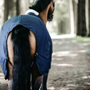 Kentucky Horsewear Cotton Sheet