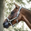 Anatomic Suede Head Collar Grey 2
