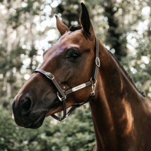 Flexible Leather Head Collar