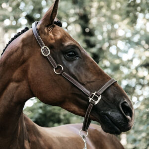 Flexible Leather Head Collar