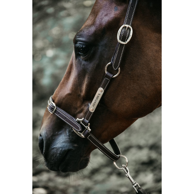 Kentucky Horsewear Leather Head Collar Flexible 1 Kentucky Horsewear Flexible Leather Head Collar