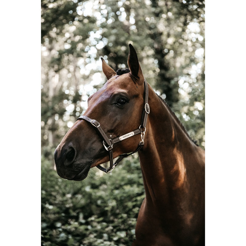 Kentucky Horsewear Leather Head Collar Flexible 3 Kentucky Horsewear Flexible Leather Head Collar