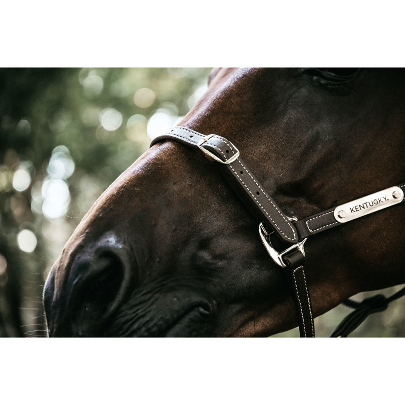 Kentucky Horsewear Leather Head Collar Flexible 4 Kentucky Horsewear Flexible Leather Head Collar