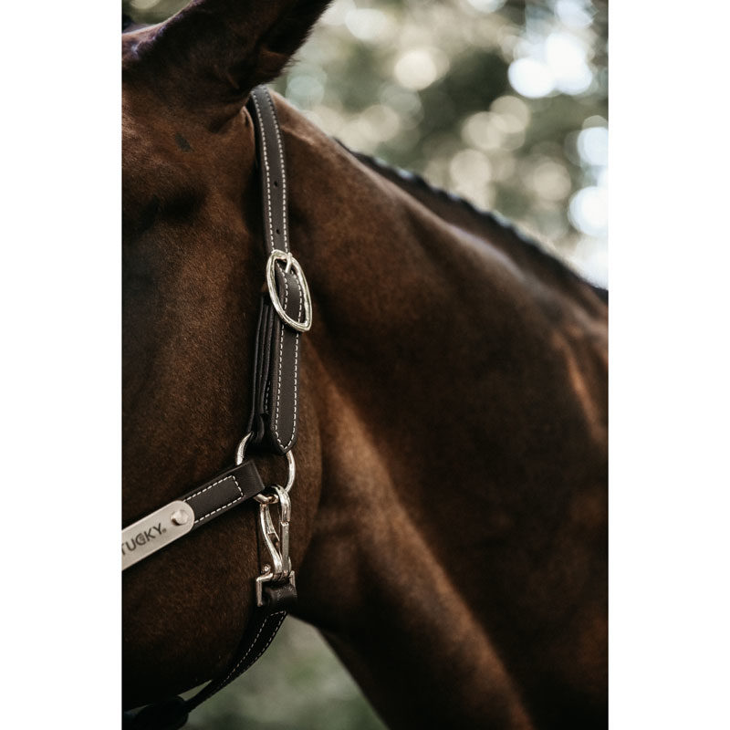 Kentucky Horsewear Leather Head Collar Flexible 5 Kentucky Horsewear Flexible Leather Head Collar