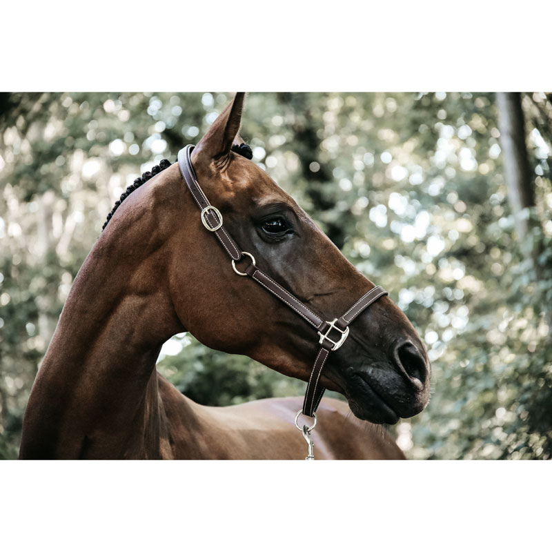 Flexible Leather Head Collar