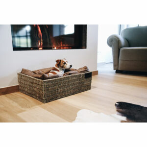 Kentucky Dogwear Dog Basket