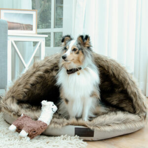 Kentucky Dogwear Igloo Dog Bed 3