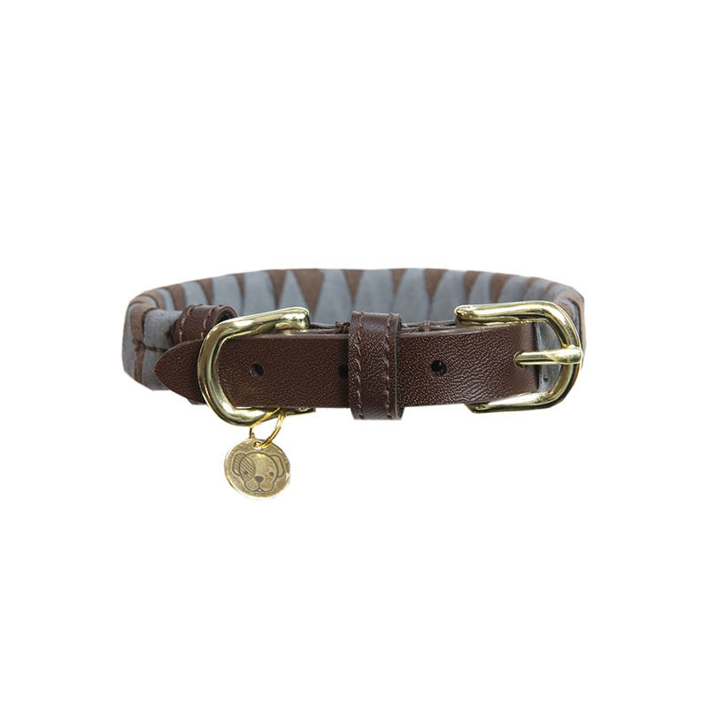 Kentucky Dogwear Collar Triangle