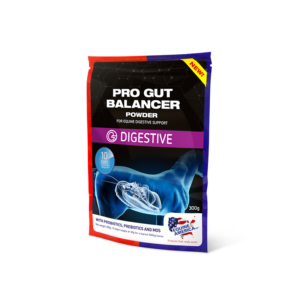Equine America Pro Gut Balancer Pouch