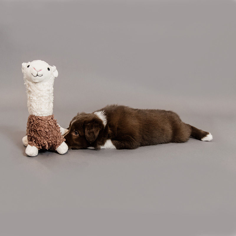 Kentucky Dogwear Alpaca Dog Toy Alfredo Kentucky Dogwear Alpaca Dog Toy Alfredo