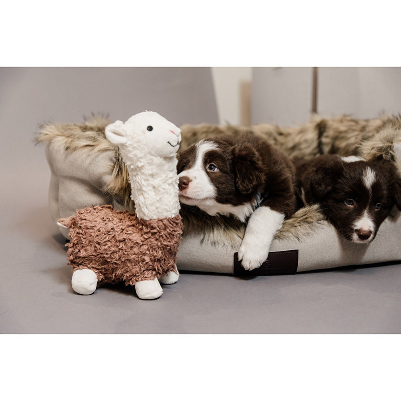 Kentucky Dogwear Alpaca Dog Toy Alfredo2 Kentucky Dogwear Alpaca Dog Toy Alfredo