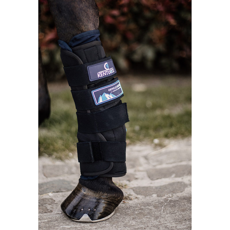 Kentucky Cryo ice Boots2 Kentucky Horsewear Cryo Ice Boots