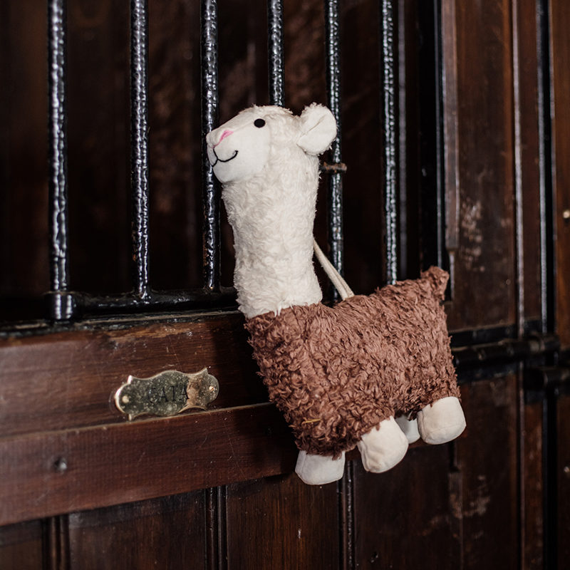 Kentucky Horsewear Alphaca Toy3 Kentucky Horsewear Alpaca Horse Toy