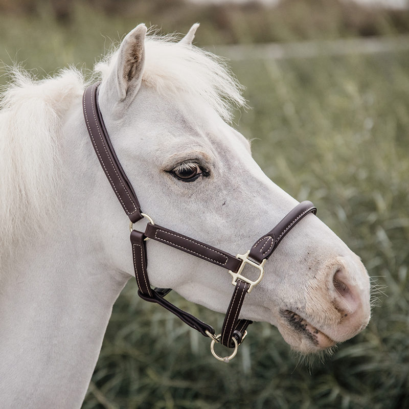 Kentucky Horsewear Leather Halter Sheepskin Shetty/Pony