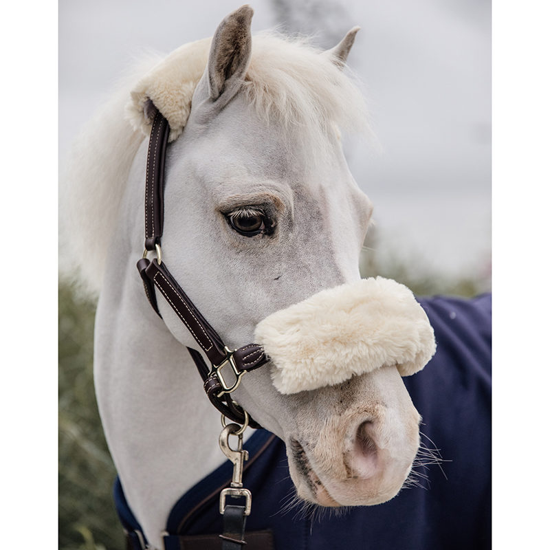 Kentucky Leather Sheepskin Pony Halter3 Kentucky Horsewear Leather Halter Sheepskin