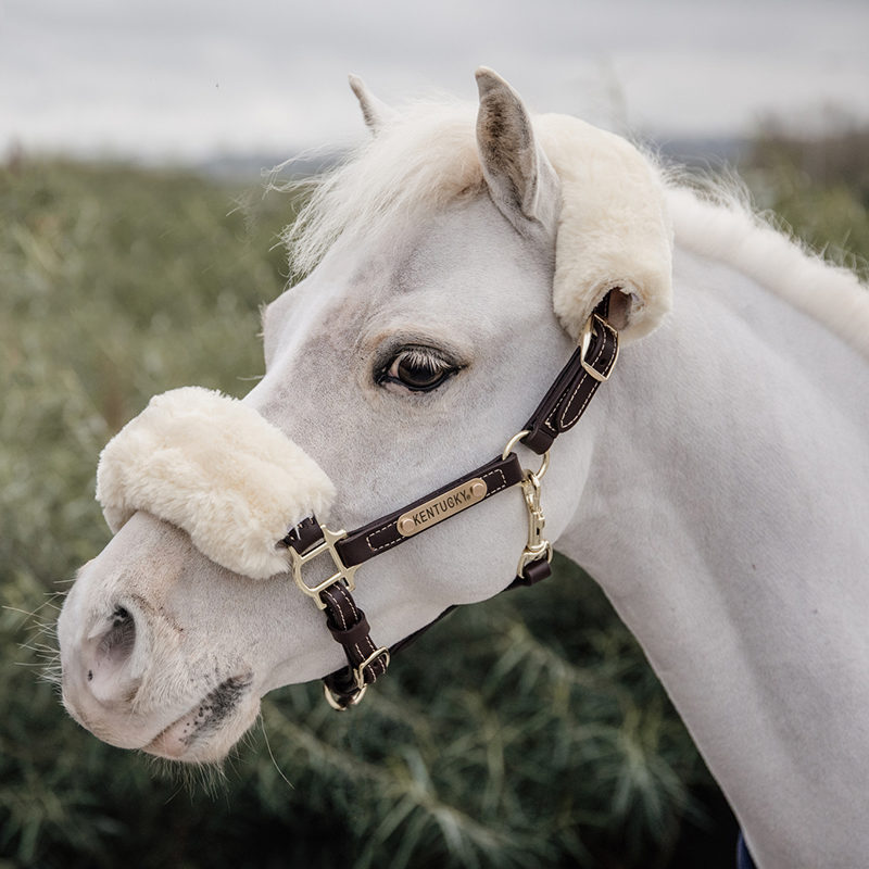 Kentucky Leather Sheepskin Pony Halter4 Kentucky Horsewear Leather Halter Sheepskin